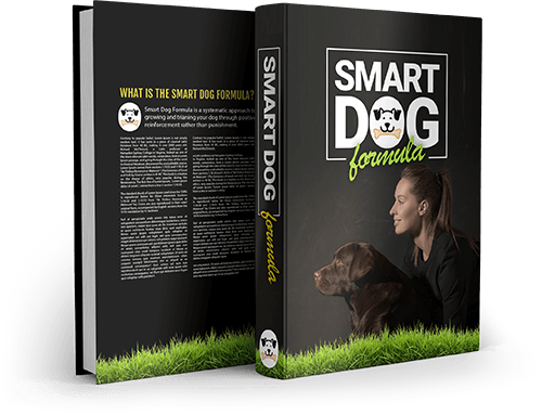 smart dog SmartDog Training Homepage - smart dog